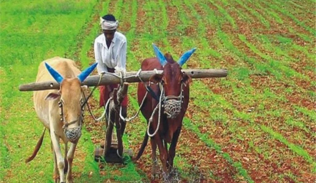 मोदी सरकार अपने ड्रीम फार्मिंग प्रोजेक्ट को BJP शासित राज्यों में भी लागू करा पाने में असफल