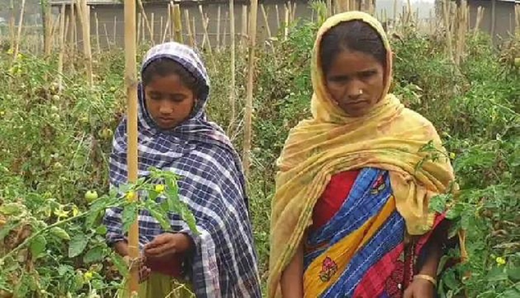 जाबेदा बेगम जिसने 15 दस्तावेज दिए मगर नहीं माना गया देश का नागरिक, कहा उम्मीद खत्म मौत करीब